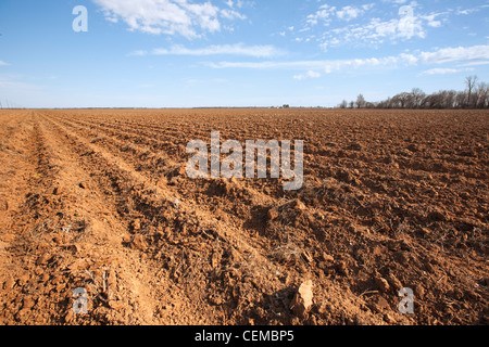 Agricoltura-bedded su campo in primavera, preparati e pronti per la piantagione di cotone / Eastern Arkansas, Stati Uniti d'America. Foto Stock