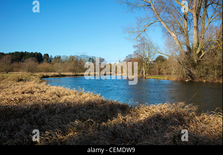 Il fiume Tamigi Chiltern Hills Oxfordshire England Regno Unito Foto Stock