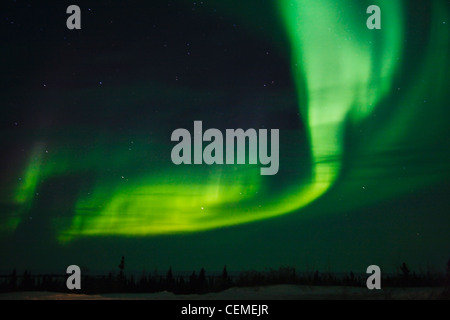 Luce di Aurora, Manitoba, Canada Foto Stock