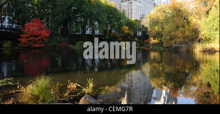 Sunny View, verso West 59th Street, autunno rosso alberi, grattacieli acque riflettente lo stagno, Central Park South, New York Foto Stock