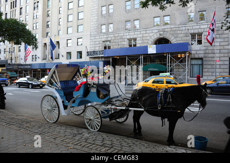 Vista verso New York club atletica, cavallo e carrozza parcheggiata sul ciglio della strada, West 59th Street, Central Park South, New York Foto Stock