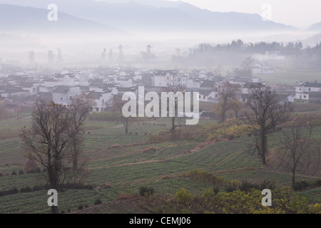 Cina ,giorno, agricoltura naturale fenomeno ,,turismo,pianta, nessuno ,albero, immagine a colori, Land includono , Anhui , nebbia, Foto Stock