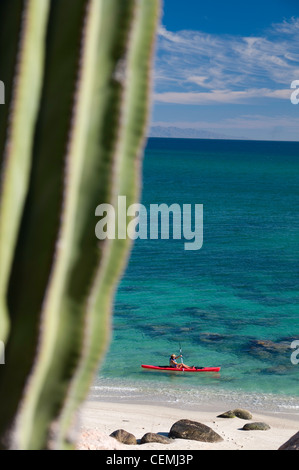 Una donna kayak off Bonanza Beach, Isola di Espiritu Santo, Baja California Sur, Messico Foto Stock