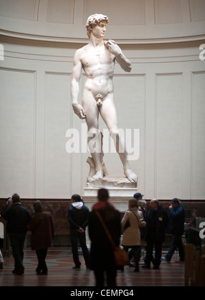Il David di Michelangelo il David di Michelangelo nella Galleria dell'Accademia di Belle Arti di Firenze Foto Stock