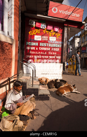 India Bengala Occidentale, Darjeeling, calzolaio leggendo il giornale in sole mentre in attesa di attività al di fuori della Padma Ristorante Foto Stock