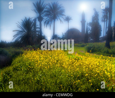CY - LARNACA: Hala Sultan Tekke (moschea) Foto Stock