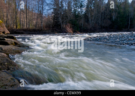 Che scorre veloce acque del fiume inglese Parksville Vancouver Island British Columbia Canada America del Nord. SCO 8012 Foto Stock