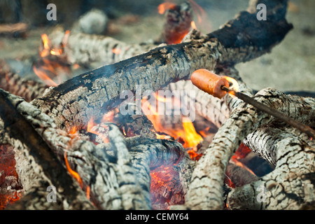 Barbecue salsicce su bastoni in falò Foto Stock