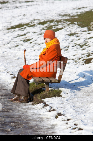 Senior donna seduta su una panchina di una coperta di neve erba, Hampstead Heath, London, England, Regno Unito Foto Stock