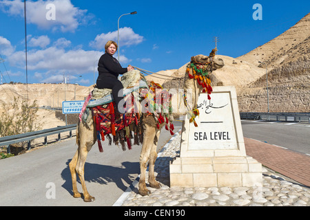 Gite turistiche un cammello al 'Sea livello' marcatore sulla autostrada 1, la strada che da Gerusalemme verso il deserto in Israele. Foto Stock