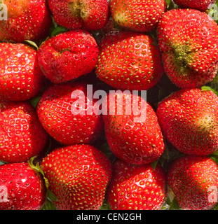 Fresche e mature fragola perfetto - cibo sullo sfondo del telaio Foto Stock