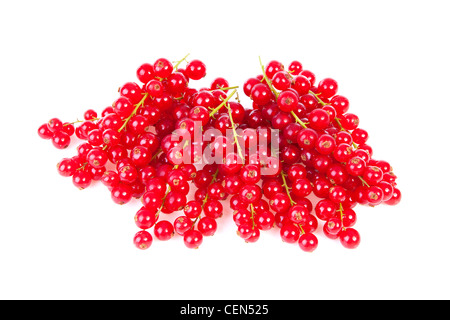 Carni rosse bacche Ribes su sfondo bianco Foto Stock