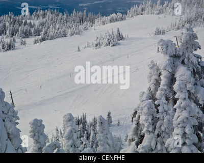 Sun picchi ski resort di montagna tod, Kamloops, BC, Canada Foto Stock