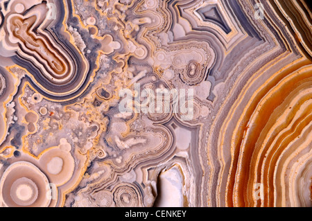 Lucidati fetta di Jasper (opaco, a grana fine forma di calcedonio) Foto Stock