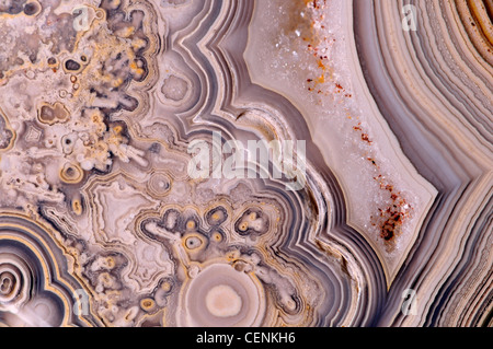 Lucidati fetta di Jasper (opaco, a grana fine forma di calcedonio) mostra bianco di cristalli di quarzo Foto Stock