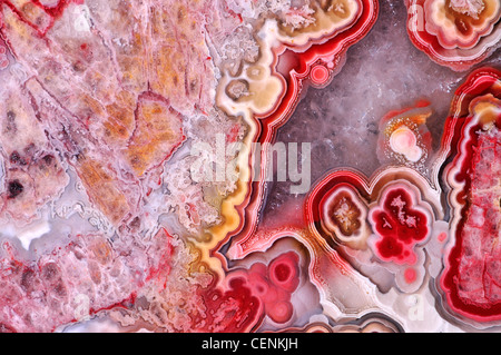 Lucidati fetta di Jasper (opaco, a grana fine forma di calcedonio) mostra bianco di cristalli di quarzo Foto Stock