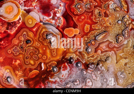 Lucidati fetta di Jasper (opaco, a grana fine forma di calcedonio) Foto Stock