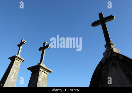 A Lisbona il più grande cimitero, Cemiterio dos Prazeres (cimitero di piaceri). Foto Stock