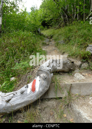 Un waymarker su un Swiss sentiero di montagna Foto Stock