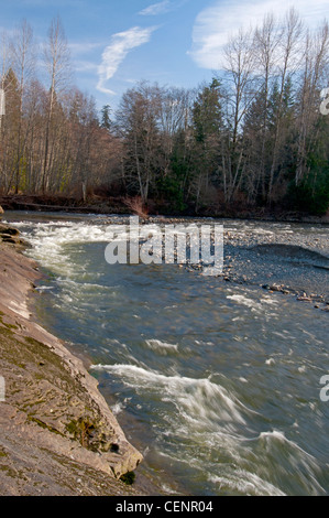 Che scorre veloce acque del fiume inglese Parksville Vancouver Island British Columbia Canada America del Nord. SCO 8022 Foto Stock