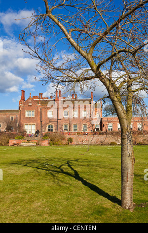 Snowdrops presso la famosa Hodsock Priory vicino a Worksop Nottinghamshire Inghilterra GB UK EU Europe Foto Stock