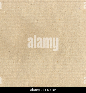 Brown foglio di cartone ondulato utile come uno sfondo Foto Stock