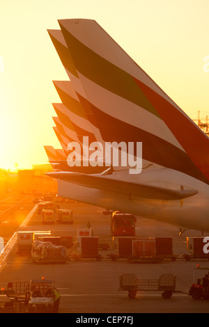 Dall'Aeroporto di Dubai, Dubai (Emirati Arabi Uniti) - 23 dicembre, 2011: una fila di Emirates International Airlines aerei con Emirates logo sulla coda. Foto Stock