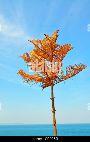 Albero di pino morente Foto Stock