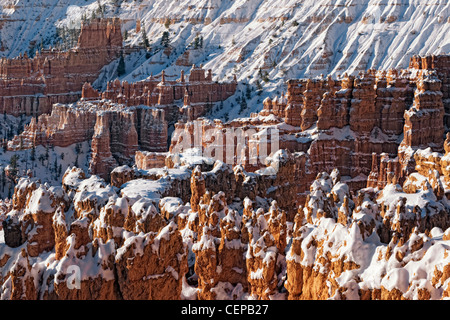 La luce del mattino bagna la neve anfiteatro riempito di hoodoos dal punto di tramonto in Utah Bryce Canyon National Park. Foto Stock