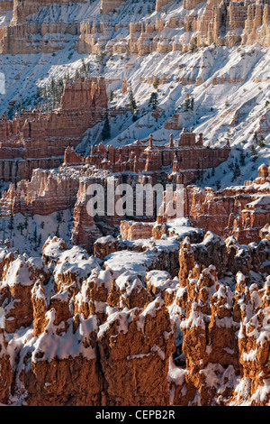 La luce del mattino bagna la neve anfiteatro riempito di hoodoos dal punto di tramonto in Utah Bryce Canyon National Park. Foto Stock