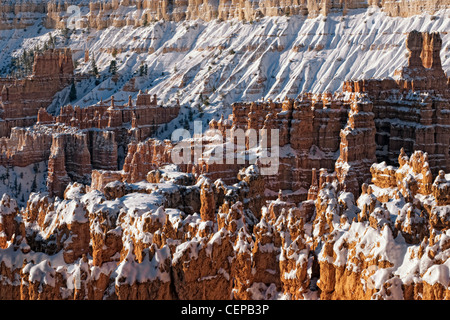 La luce del mattino bagna la neve anfiteatro riempito di hoodoos dal punto di tramonto in Utah Bryce Canyon National Park. Foto Stock