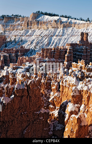 La luce del mattino bagna la neve anfiteatro riempito di hoodoos dal punto di tramonto in Utah Bryce Canyon National Park. Foto Stock