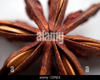 Illicium verum Foto Stock