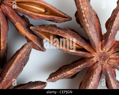 Illicium verum Foto Stock