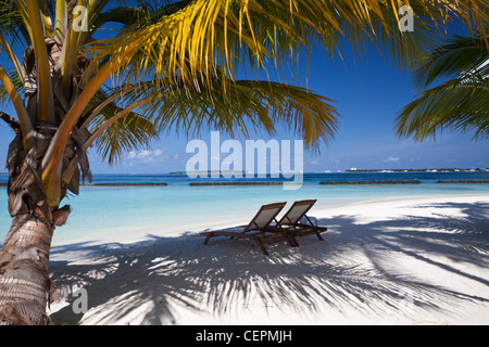Spiaggia di Isola Kurumba, North Male Atoll, Maldive Foto Stock