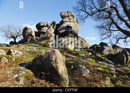 Robin Hood's Stride, Parco Nazionale di Peak District, Derbyshire, Inghilterra Foto Stock