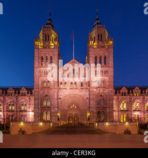 Museo di Storia Naturale di Londra Foto Stock