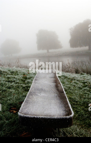 Frosty, nebbiosa mattina in Home Park. Foto Stock