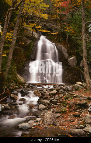 Autunno Moss Glen cade nel Vermont New England Foto Stock