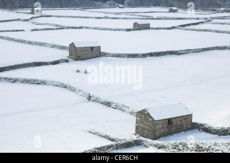Guardando sopra coperta di neve muri in pietra a secco e fienili a campi in Swaledale. Foto Stock