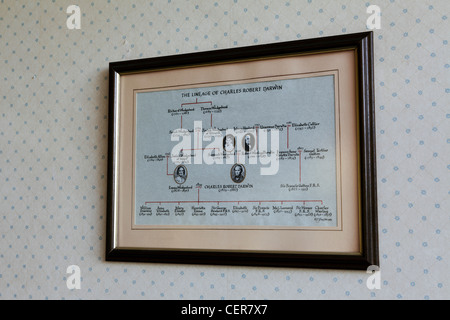 Una delle (7) immagini relative al montaggio, luogo di nascita di Charles Darwin. Sia interne che esterne si applicano le immagini in fotografo della biblioteca a questo sito. Foto Stock