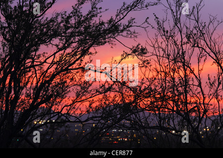 Fiery Deserto Sonoran tramonto cielo illuminato Foto Stock