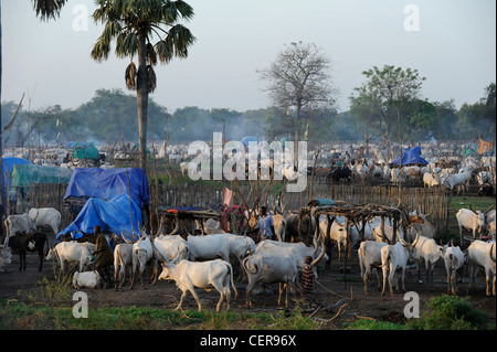 Il SUD SUDAN, Bahr al Ghazal regione dei laghi , membro della tribù Dinka con zebù Vacche Bovini camp vicino a Rumbek Foto Stock