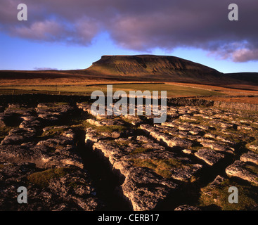 Dale Head su del The Pennine Way. Offre eccellenti vedute di Pen-y-Ghent, una delle famose Tre Cime di Yorkshire Dales. Foto Stock