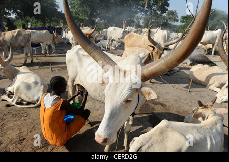Il SUD SUDAN, Bahr al Ghazal regione dei laghi , membro della tribù Dinka con zebù Vacche Bovini camp vicino a Rumbek Foto Stock