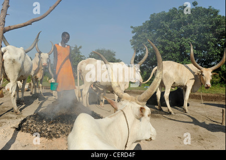 Il SUD SUDAN, Bahr al Ghazal regione dei laghi , membro della tribù Dinka con zebù Vacche Bovini camp vicino a Rumbek Foto Stock
