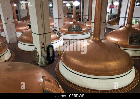 Rame serbatoi della birra, Coors Brewery, Golden, Colorado. Foto Stock