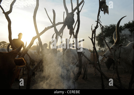 Il SUD SUDAN, Bahr al Ghazal regione dei laghi , membro della tribù Dinka con zebù Vacche Bovini camp vicino a Rumbek Foto Stock