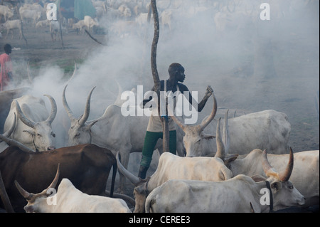 Il SUD SUDAN, Bahr al Ghazal regione dei laghi , membro della tribù Dinka con zebù Vacche Bovini camp vicino a Rumbek Foto Stock