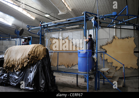 URUGUAY conceria Bader produzione di pelli da pelle di mucca per seggiolini per auto di BMW, tensione della sezione di pelle Foto Stock